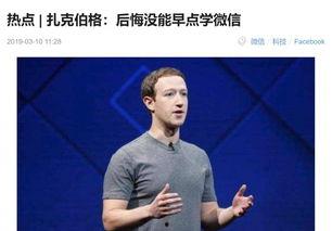 国产黑骚,揭秘我国黑色产业背后的秘密与挑战